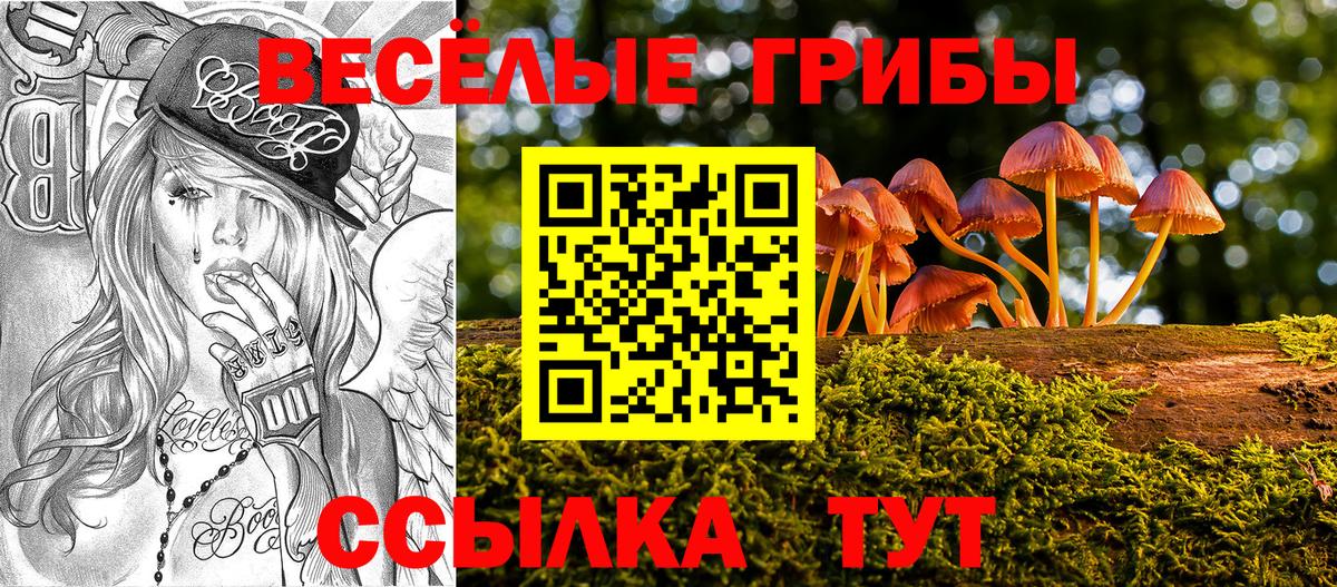 Галлюциногенные грибы прущие грибы  Вход с VPN  Псилоцибиновые грибы ЛСД  Верхняя Салда 